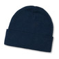 Everest Recycled Beanie