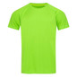 Men's Active 140 Raglan - Kiwi