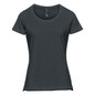 Women's Equinox Short Sleeve Tee - Dolphin