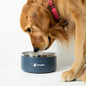 <p>The stainless steel Tucker Dog Bowl is a practical choice for pet owners, keeping water cool and making mealtime hassle-free. Designed for small to medium dogs, its 800ml capacity is just right, while the navy blue exterior adds a stylish touch. A non-slip band on the bottom helps prevent spills, keeping floors dry and clean.</p>
<p class="keyword">

