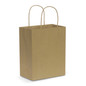 Paper Carry Bag - Medium