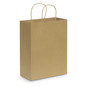 Paper Carry Bag - Large