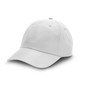 Lane Recycled Cap