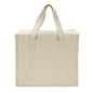 Aden Lunch Cooler Bag