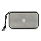 Swiss Peak 10W Bass Speaker