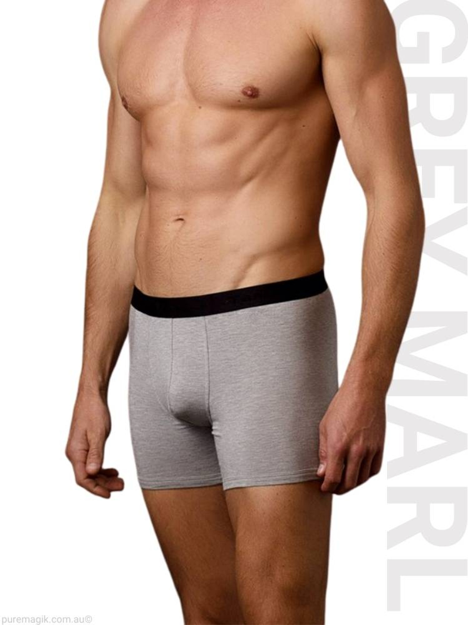 https://cdn11.bigcommerce.com/s-rtee9/images/stencil/1500x2000/products/1455/13502/Grey_Marle_29080_Tani_Mens_Silktouch_Boxer_Trunk_Micro_Modal_Air_Tani_Clothing_2__98214.1706758760.jpg?c=2