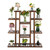 6-Story 11-Seat Multifunctional Carbonized Wood Plant Stand Vertical Shelf Flower Display Rack Holder