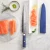 Cangshan Kita Series 10" sashimi knife with sheath, Damascus steel blade