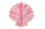 R&M Sea Shell Cookie Cutter 3" White