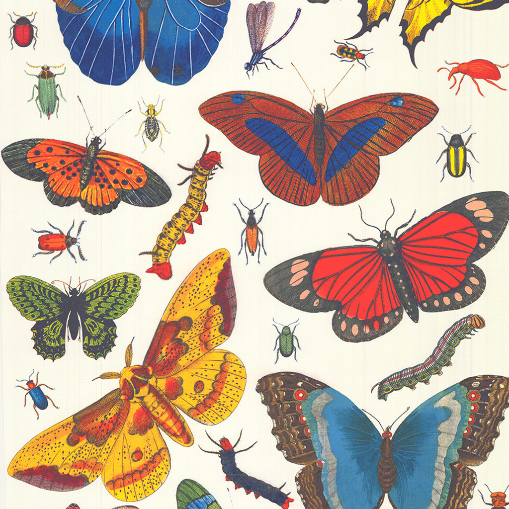 Bugs & Butterfly on Bone Cotton Fabric Swatch Memo - Design Legacy by Kelly O'Neal