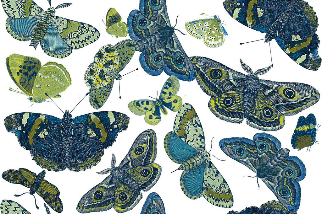 Moths in Earth on Bone Cotton Fabric by the Yard - Design Legacy by Kelly O'Neal