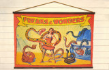 Freaks And Wonders Canvas Wall Chart