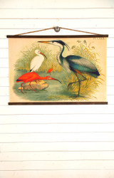 Shore Birds Canvas Wall Chart Shore Birds Canvas Wall Chart