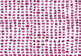 Guinea Dot in Raspberry on Bone Cotton Fabric Swatch Memo - Design Legacy by Kelly O'Neal