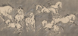 Equestrian Studies VI