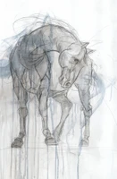 Equestrian Studies III