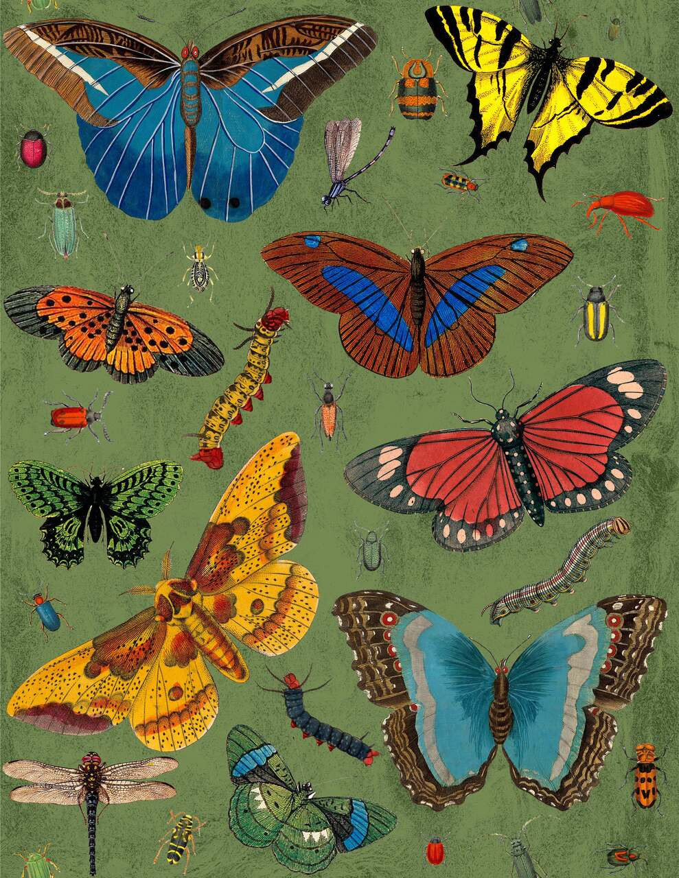 K.ONEAL | BUGS in MOSS Design Legacy by Kelly O'Neal