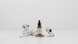 How to Give CBD Oil to Dogs: A Complete Guide to Administering CBD and Hemp Oil