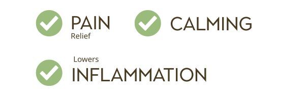 CBD Arnica Salve checklist