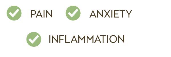 CBD and CBG Checklist