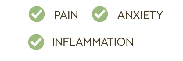 CBD Benefits Checklist 4