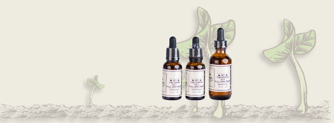 CBD FOR CATS FULL SPECTRUM CBD OIL