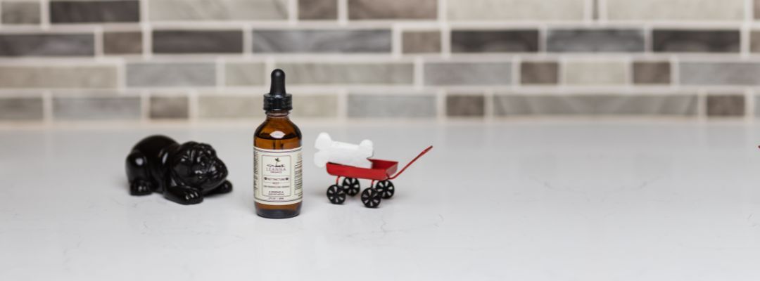cbd dog bites