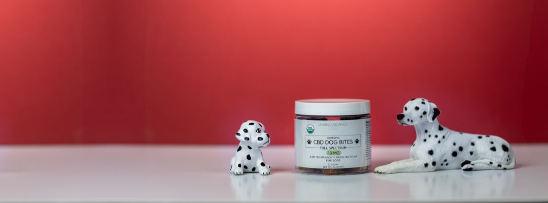 cbd dog bites