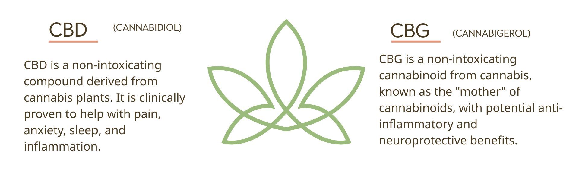 CBD vs CBG