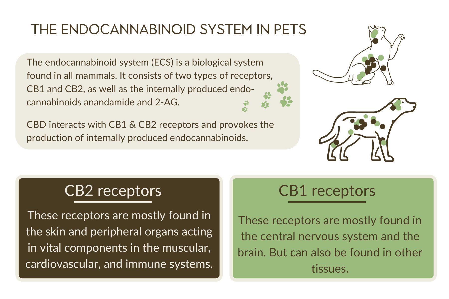 The endocannabinoid system in pets