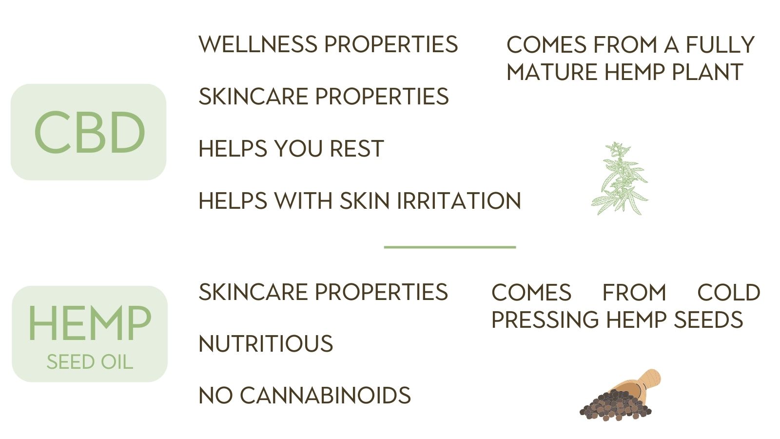 Hemp Seed Oil vs CBD banner