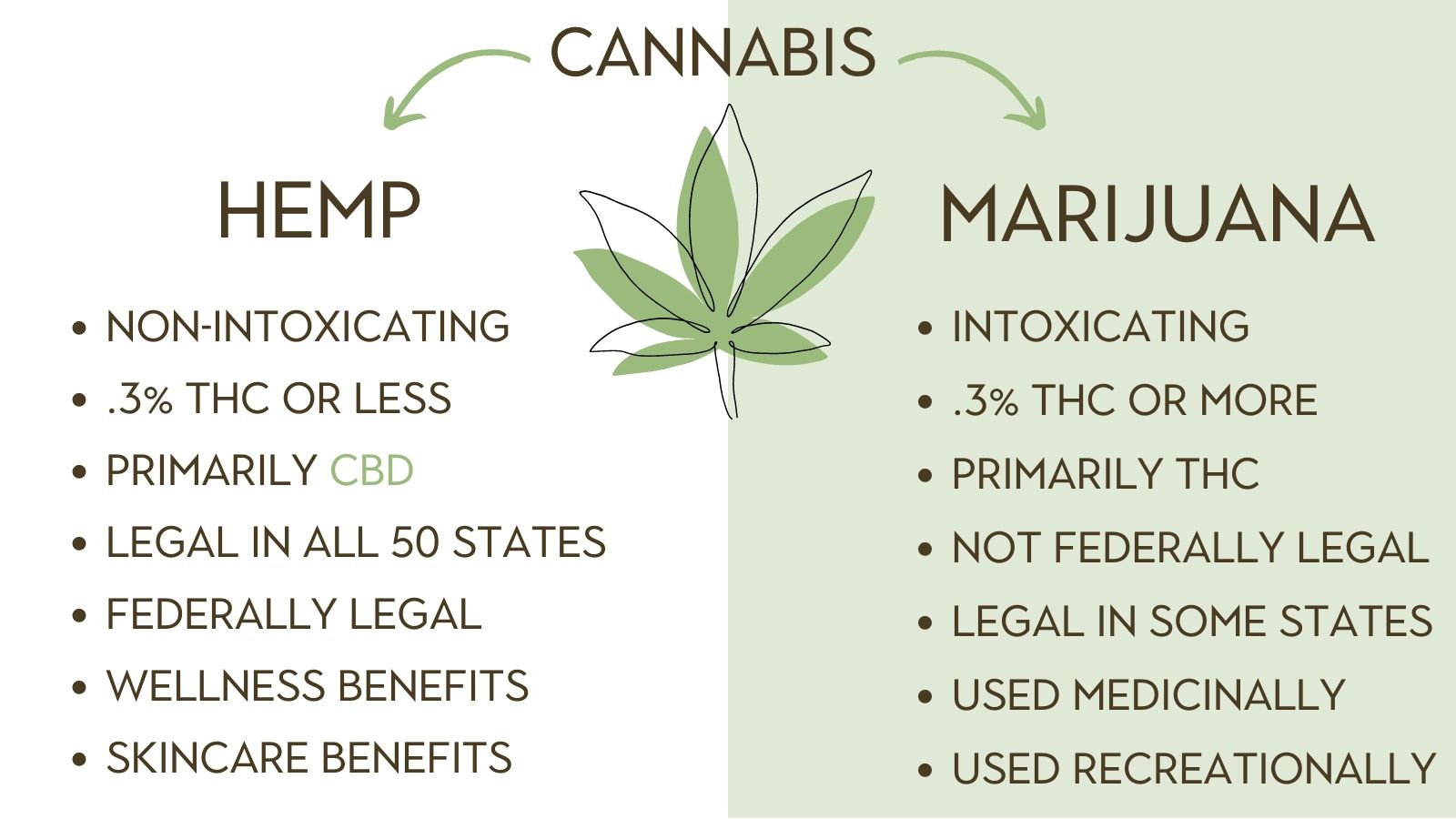 two forms of cannabis hemp and marijuana