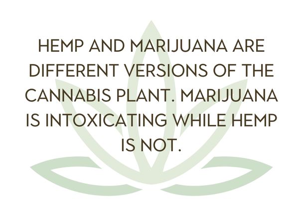 Hemp versus MJ. Marijuana is intoxicating, hemp is not
