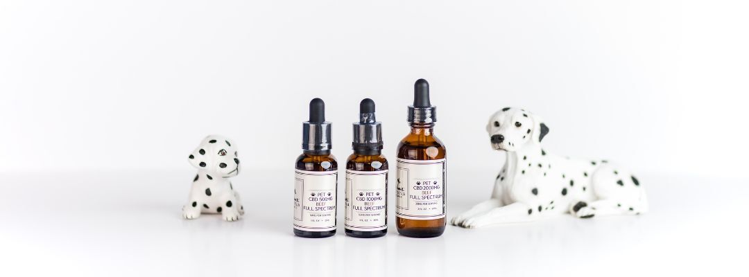 CBD oil for pets