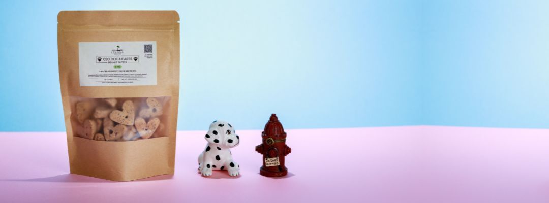 CBD Dog treats