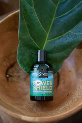 Best Natural Essential Oils to Repel Mosquitoes and Dengue