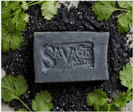 The Best Detox Routine: How Activated Charcoal and Cilantro Clear Environmental Pollutants