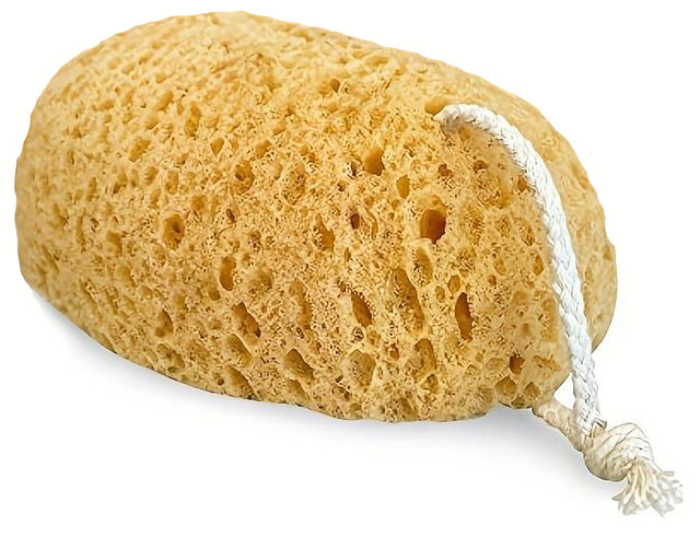 Re Sponge How long can I use a Sponge before throwing it out? - Savage Soaps