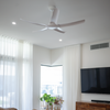 DAYDREAM II WHITE 5 BLADE SMART WIFI DC CEILING FAN