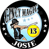 Softball Team Fundraiser Yard Signs, Softball Car Decals, Softball car locker Magnets