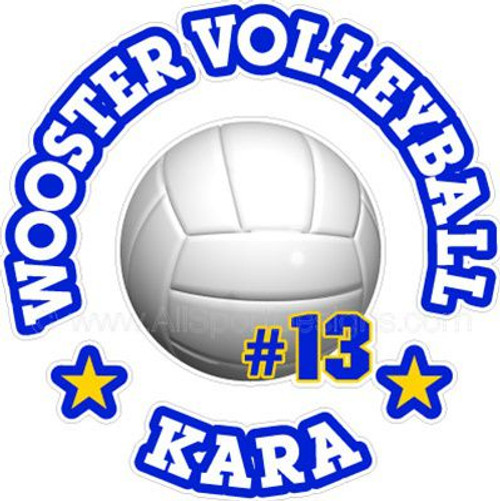 volleyball stickers decals clings & magnets