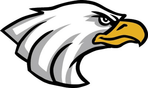 Eagle helmet sticker decals