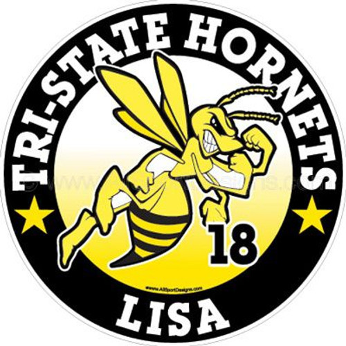 Hornet car window sticker decals