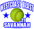 softball fundraising stickers, clings, decals, magnets, yard signs