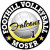 Volleyball Car Decals Magnets and Yard Signs