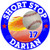 baseball stickers clings decals & magnets