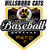 baseball car stickers clings decals & magnets