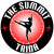dance stickers decals clings & magnets