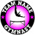 gymnastics stickers decals clings & magnets