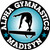 Gymnastics stickers decals clings magnets & Fundraising